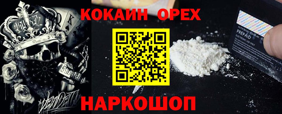COCAIN Fish Scale  COCAIN Fish Scale  Вход с VPN  Каспийск 