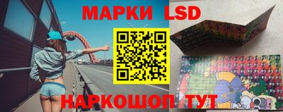 тгк Краснодар